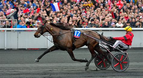 le trot|le trot en direct.